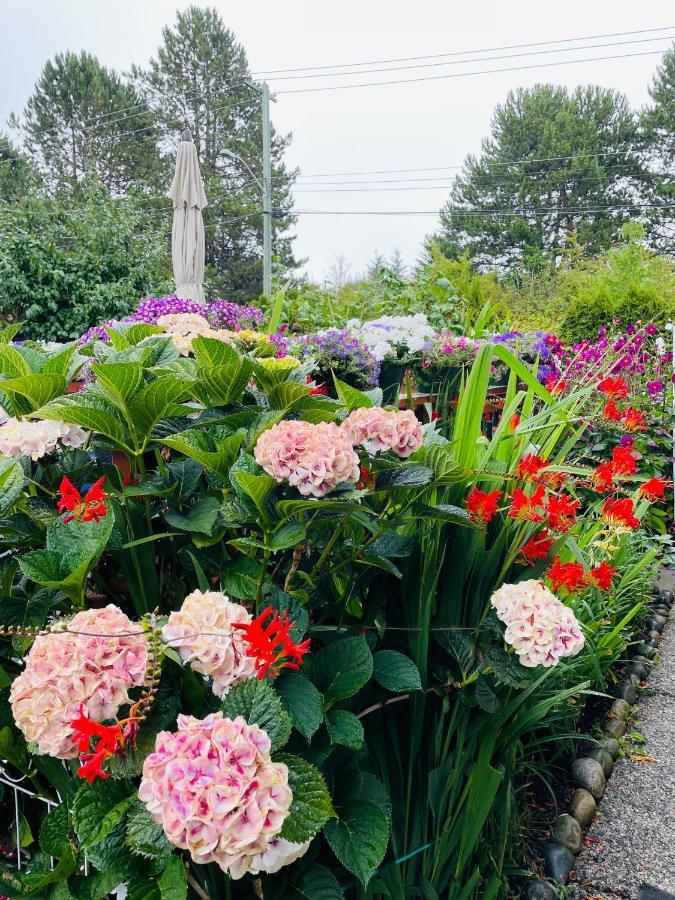 Garden Home In Victoria -Beautiful Home In Виктория Екстериор снимка
