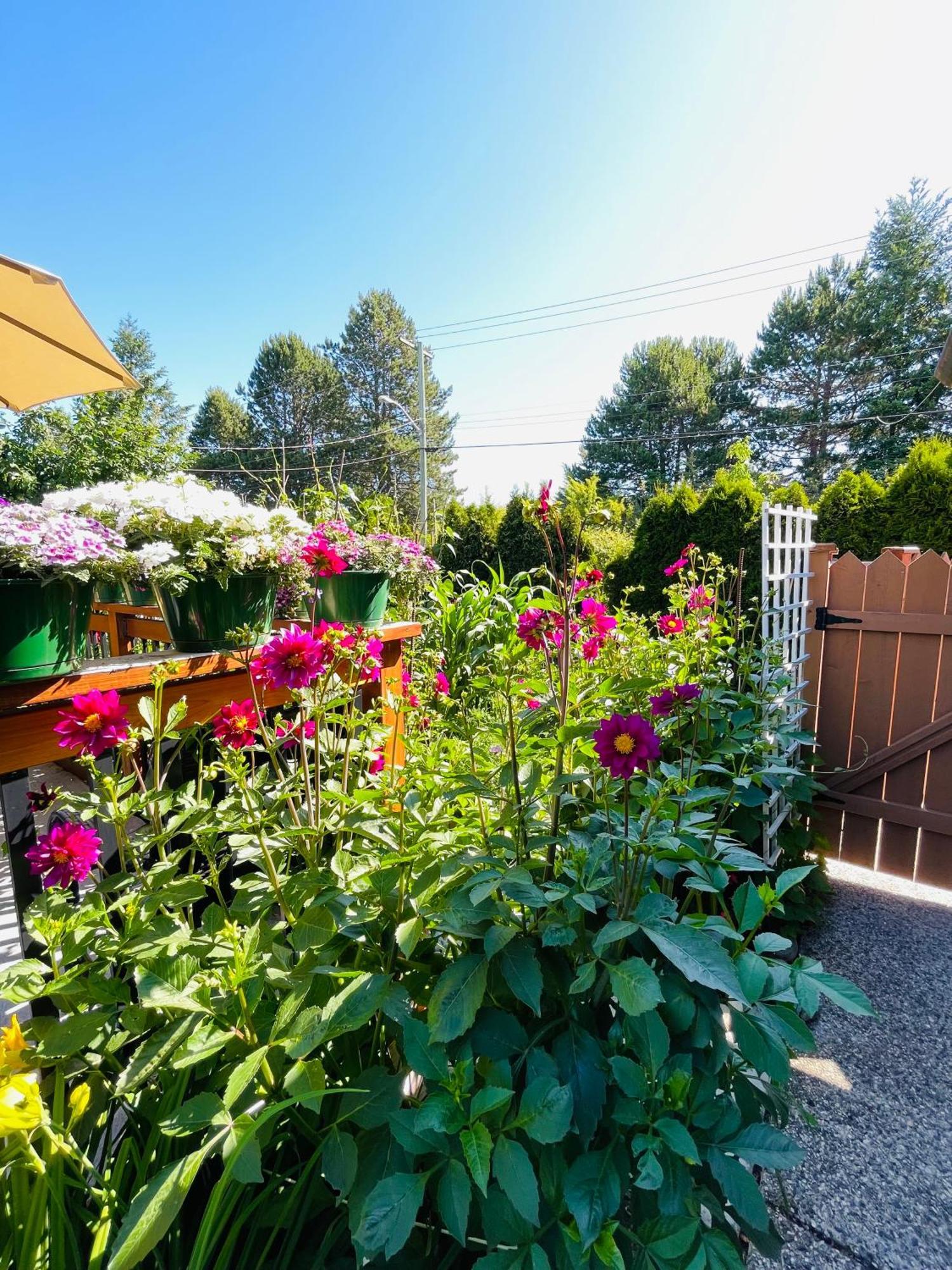 Garden Home In Victoria -Beautiful Home In Виктория Екстериор снимка
